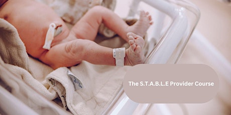 The STABLE Program