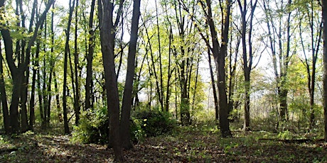 Hauptbild für Eggers Grove Spring Wildflower Walk