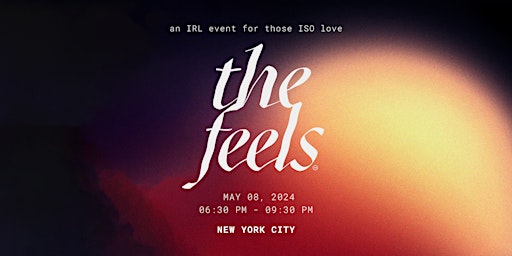 The Feels NY ed 28: a mindful singles dating event in Brooklyn, NY  primärbild