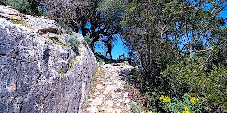 “Il Castello di Quirra e la sua Contessa: storia e antichi mestieri"