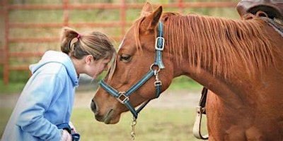 Primaire afbeelding van Women & Horses Wellness Retreat; Relax, Engage, Rejuvenate