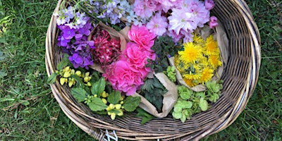 Hauptbild für Beltane Forage