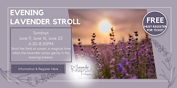 Evening Lavender Stroll