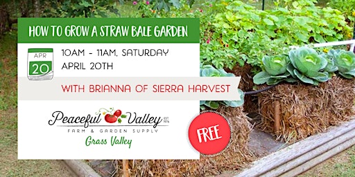 Imagem principal do evento How To Grow a Straw Bale Garden