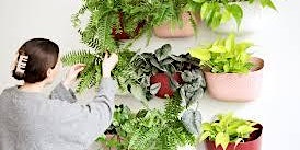 Indoor Herb & Vegetable Growing primary image