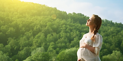 Hauptbild für Pregnancy and Birth Mental Health Workshop