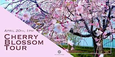 Cherry Blossom Tour at the Aga Khan Park primary image