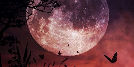 Image principale de Full Moon in Scorpio Circle