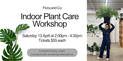 Imagem principal do evento Indoor Plant Care Workshop