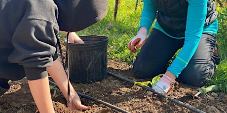 Earth Day @ Park Avenue Farm