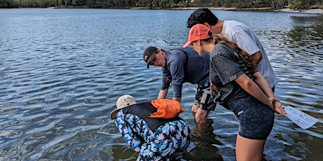SEAGRASS MONITORING TRAINING at Loders Creek (adults +16) primary image