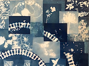 Cyanotype Workshop with Rosalva Willow