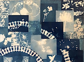 Immagine principale di Cyanotype Workshop with Rosalva Willow 