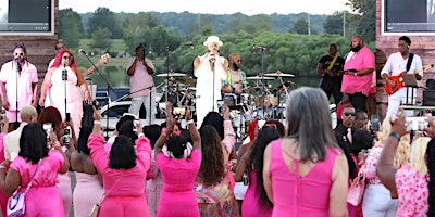 Imagem principal do evento The Luxury PinkNiq (Memphis, Tn)