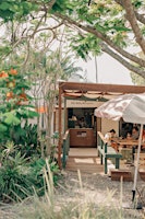 Immagine principale di Salty Mangrove Mamcha Lunch with Shandong Mama - Caper Byron Bay 