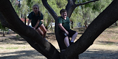 Our Big Backyard Woodfield Reserve Nature Adventure