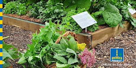 The Physic Garden - A Guided Walk