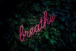 Free Online  Transformational Breathwork Workshop  primärbild