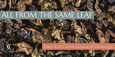 Imagem principal do evento All from the Same Leaf Part 4: A Cornucopia of Oolongs