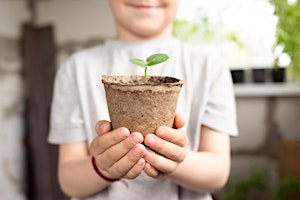 Little Eco Warriors-Create Your Own Vegetable Garden! (School years 2-6) primary image