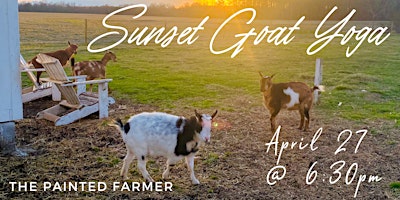 Imagem principal do evento Sunset Goat Yoga + Bonfire