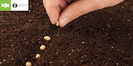 Seed Swap and Information Session - Sanctuary Point Library