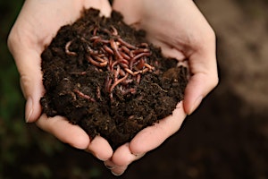 Hauptbild für Natures Recyclers -Compost and Worm Farms