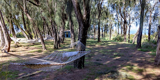 Image principale de Healing Trees at Lumeria Maui