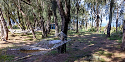 Imagem principal do evento Healing Trees at Lumeria Maui