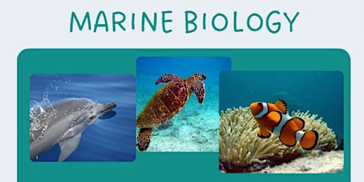 Imagem principal do evento Marine Biology