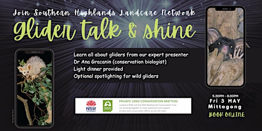 Hauptbild für Greater Glider Talk and Spotlight Event: Mysteries of the Night