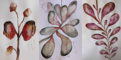 Introduction to botanical art - watercolour workshops
