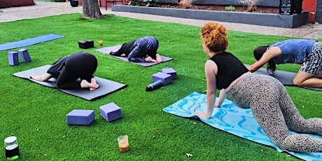 Yin Yang Outdoor Yoga ☯️