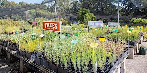 Get growing plant sale 2024 primary image