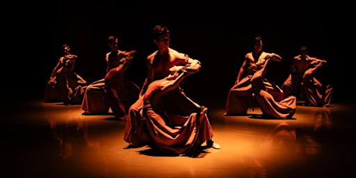 Image principale de One @ the Ballet - A Passion to Dance