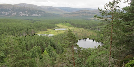 Free! 2nd May, Edinburgh. Professor Richard Ennos - 'Health Ecology'