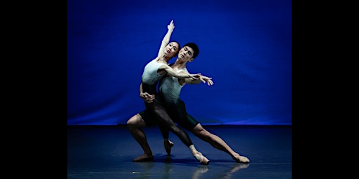 One @ the Ballet - The Landscape of Movement primary image