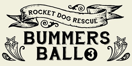 Bummer's Ball 2019 primary image