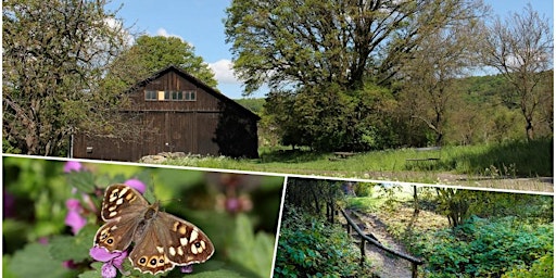 Primaire afbeelding van Social Hike: Rosebud Valley