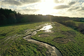 Woods, Meadows and Floodplains: A Discussion with George Peterken