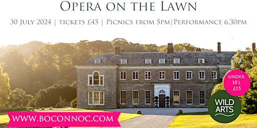 Opera on the Lawn at Boconnoc House primary image