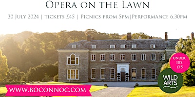 Opera on the Lawn at Boconnoc House primary image