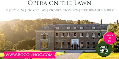 Imagem principal do evento Opera on the Lawn at Boconnoc House