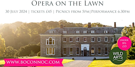 Opera on the Lawn at Boconnoc House
