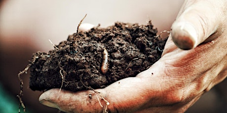 Elevated Foods' Soil Health Workshop