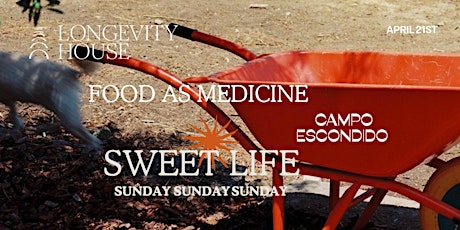 Longevity House Social Club presents: Sweet Life Sunday - Food As Medicine