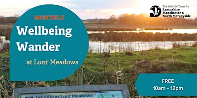 Wellbeing Wander at Lunt Meadows primary image