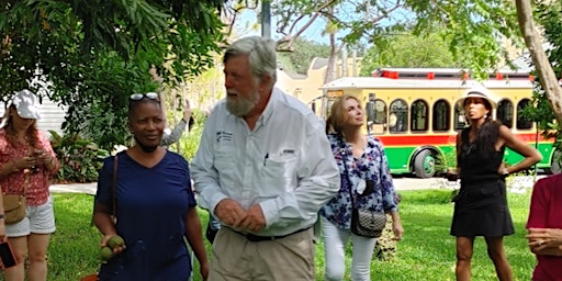 Trolly Tour of Royal Poincianas & Overview Gifford Arboretum Secret Gardens primary image