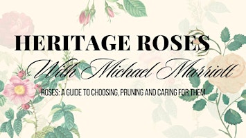 Immagine principale di Heritage Roses with Michael Marriott 