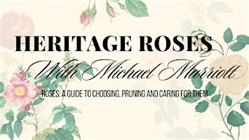 Heritage Roses with Michael Marriott primary image